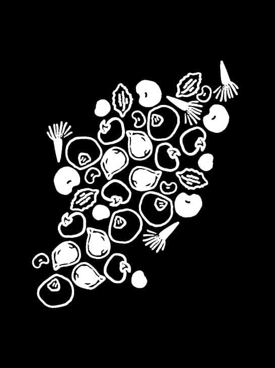 seed-workshop.webp