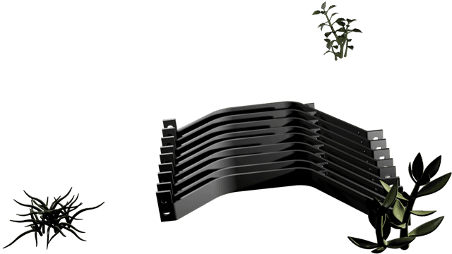 sunyena